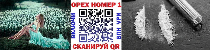 сколько стоит Камызяк Кокаин 98%