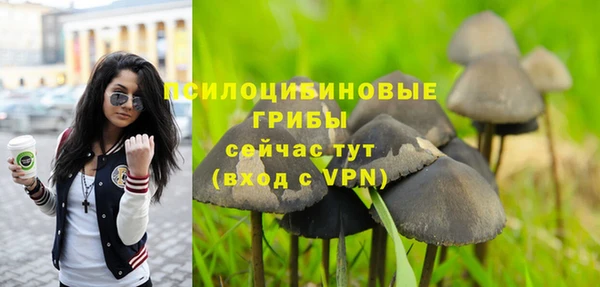 трава Абинск