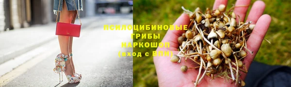 трава Абинск