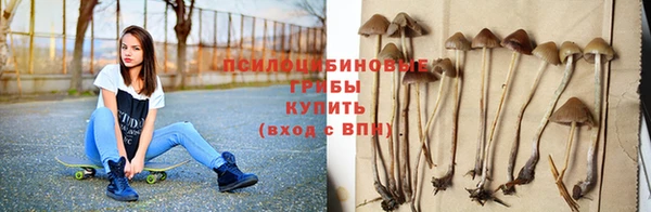 трава Абинск