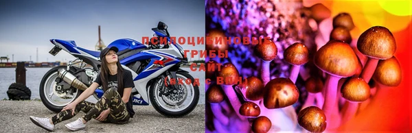 mix Пролетарск